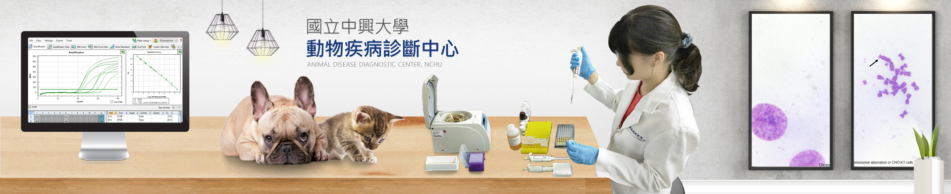 Animal Disease Diagnostic Center College of Veterinary Medicine,NCHU